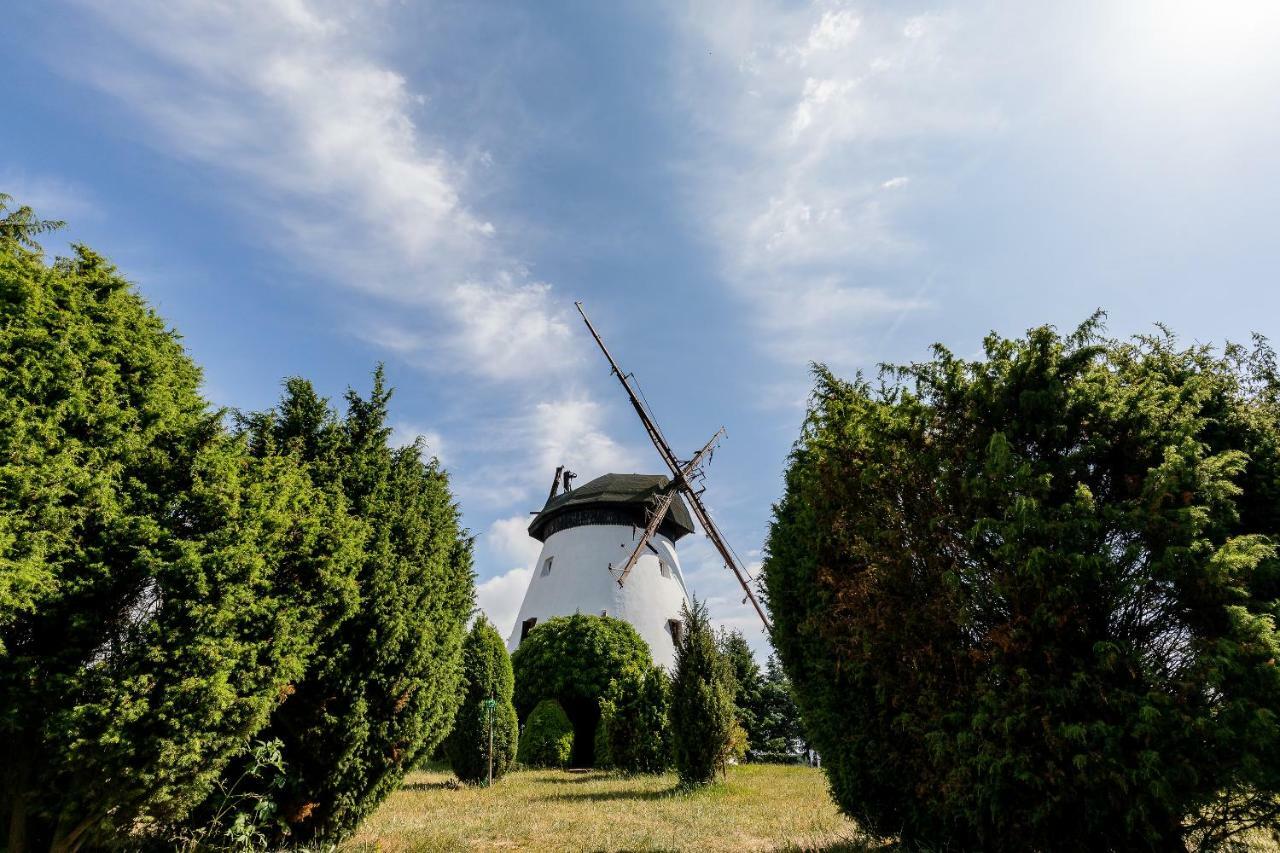 Windmill Vacation Home In Ledzin Near Baltic Sea Niechorze Eksteriør billede