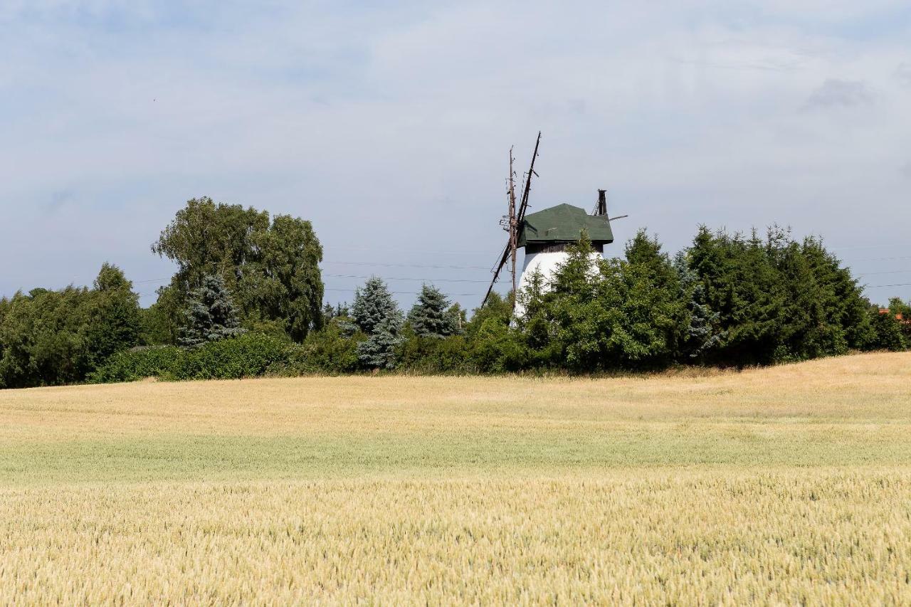 Windmill Vacation Home In Ledzin Near Baltic Sea Niechorze Eksteriør billede