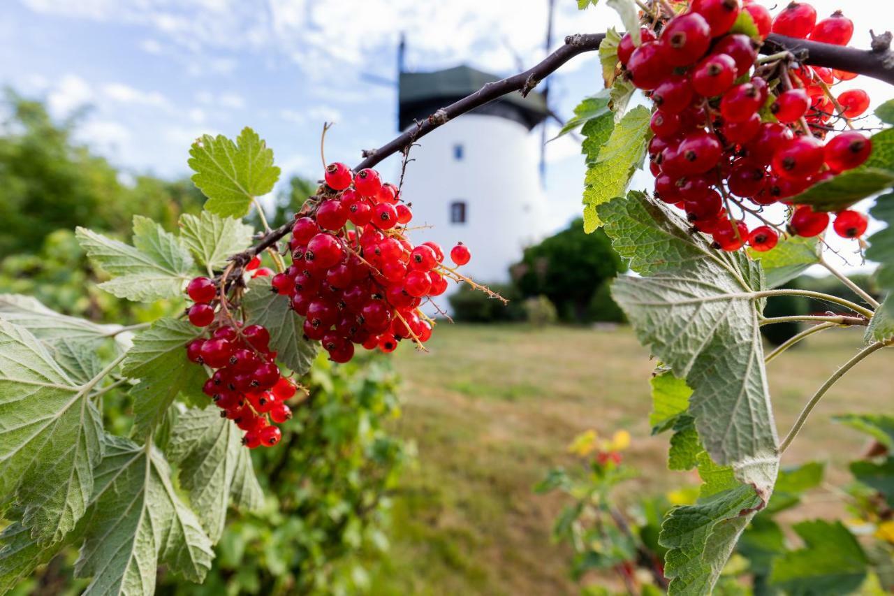 Windmill Vacation Home In Ledzin Near Baltic Sea Niechorze Eksteriør billede