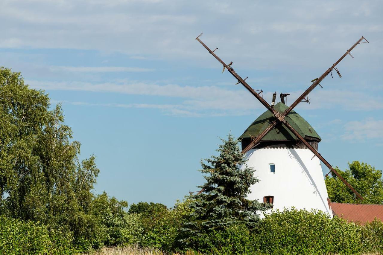 Windmill Vacation Home In Ledzin Near Baltic Sea Niechorze Eksteriør billede
