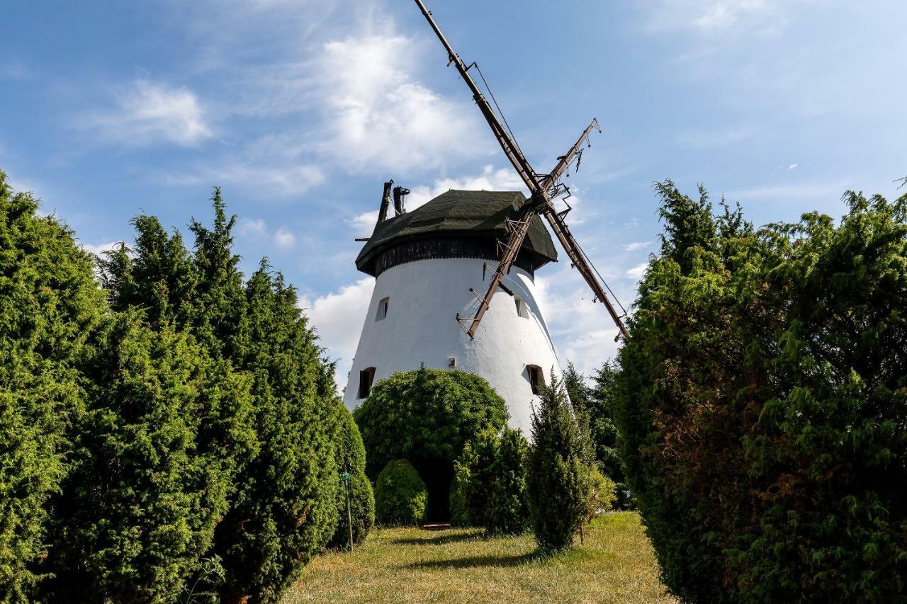 Windmill Vacation Home In Ledzin Near Baltic Sea Niechorze Eksteriør billede