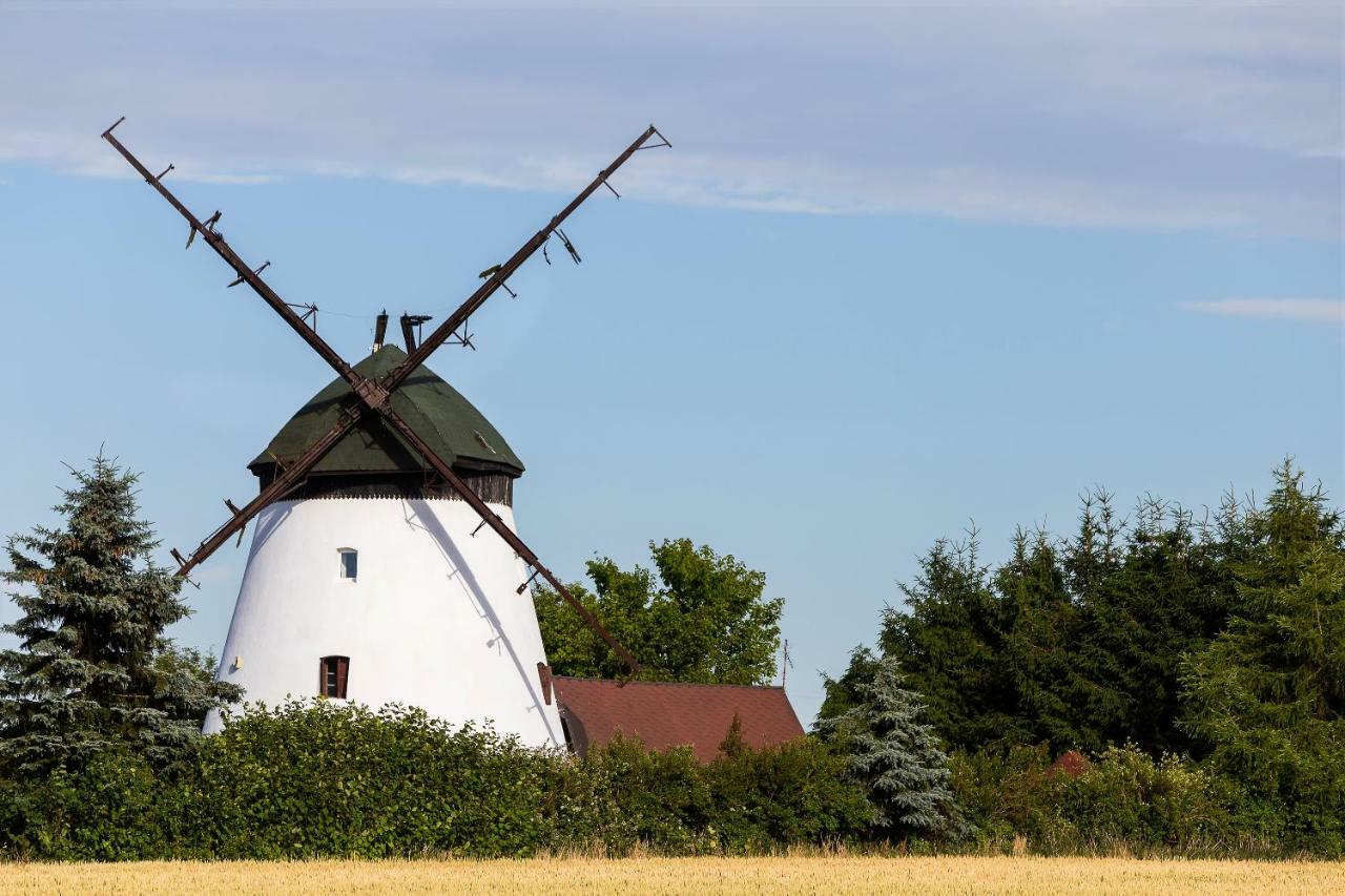 Windmill Vacation Home In Ledzin Near Baltic Sea Niechorze Eksteriør billede